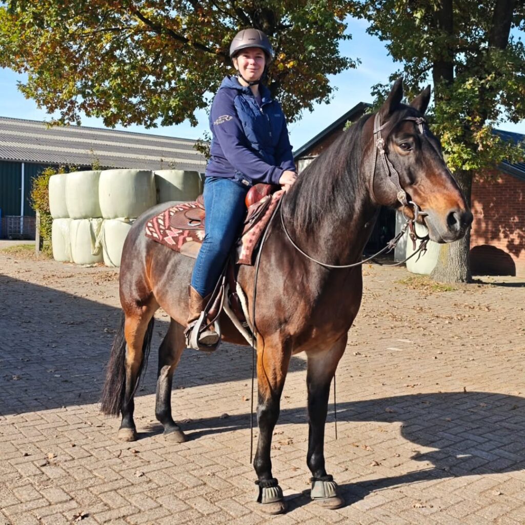 Quarter Horse Gelding for Sale Gentle and versatile Quarter Horse Gelding, perfect for riding, showing, or ranch work. Ready to become